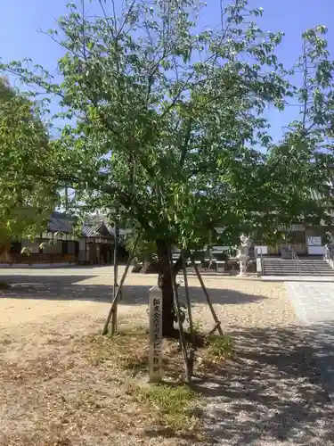 本地ヶ原神社の自然