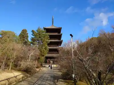 仁和寺の塔