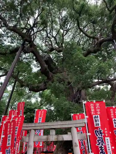 住吉大社のその他建物