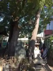 立石熊野神社の建物その他