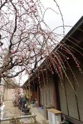 菅原天満宮（菅原神社）のその他建物