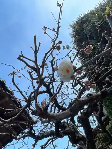 一心寺・一心禅寺(愛知県)