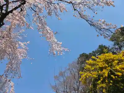 中院(埼玉県)