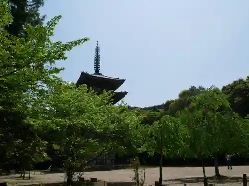 醍醐寺の景色