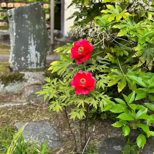 伊勢の国 四天王寺(三重県)