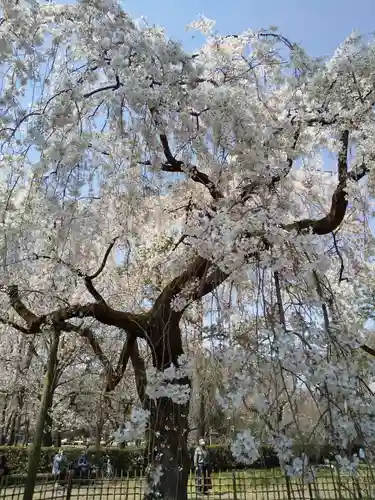 水火天満宮(京都府)