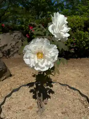 刑部神社の庭園