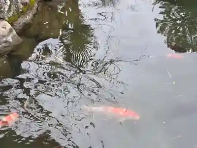 神明宮(栃木県)