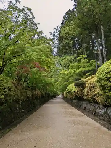 高野山金剛峯寺の建物その他