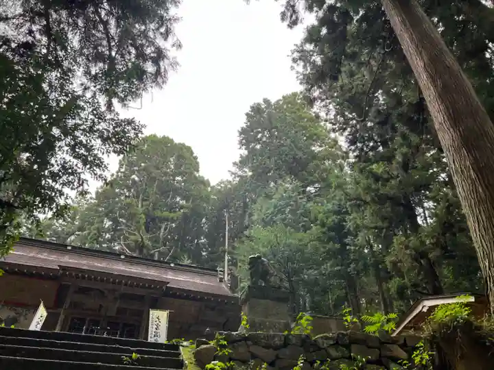 大宮温泉神社(栃木県)