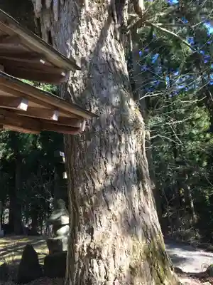 戒場神社の自然