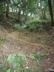  大岩山 最勝寺の周辺