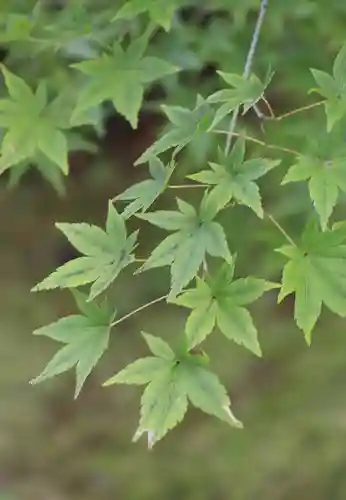長岳寺(奈良県)
