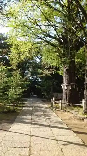 赤坂氷川神社(東京都)