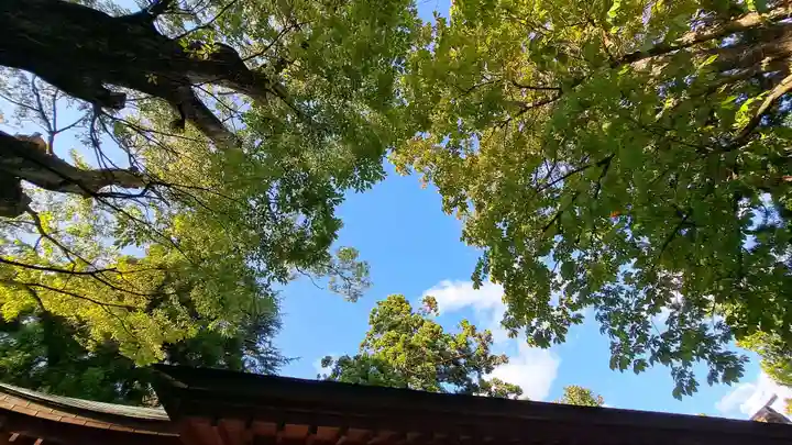 蠶養國神社(福島県)
