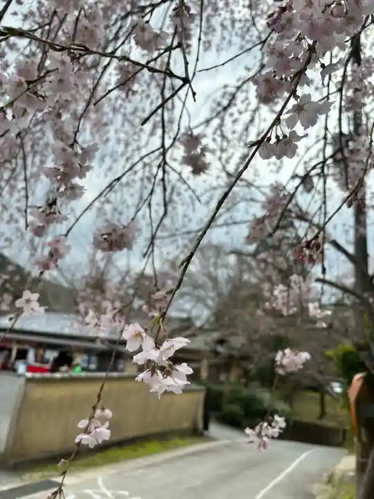 毘沙門堂門跡(京都府)
