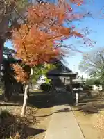 八幡神社(千葉県)