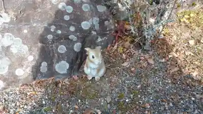 日蓮宗 総本山 塔頭 定林坊(じょうりんぼう)の狛犬