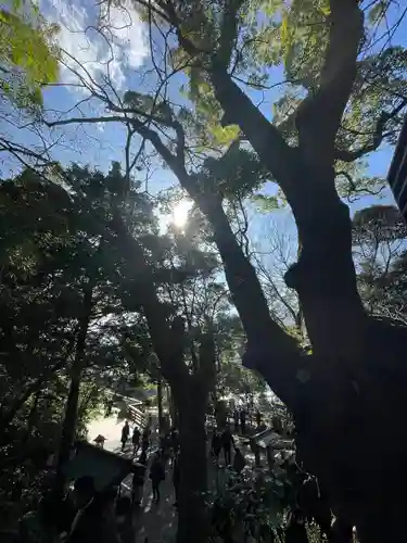 來宮神社(静岡県)