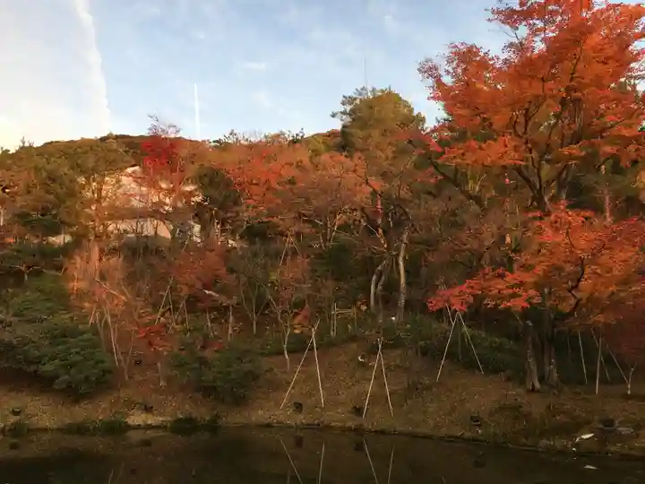 高台寺(高台寿聖禅寺・高臺寺)(京都府)