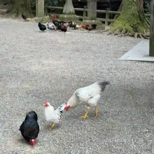 石上神宮(奈良県)