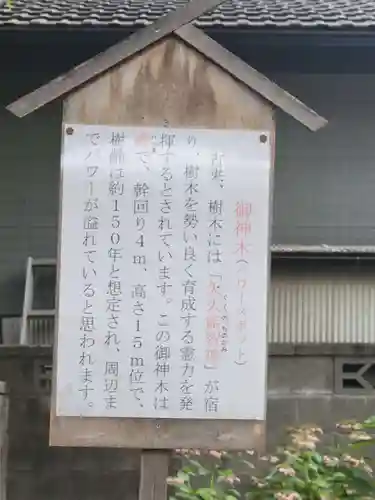 上戸田氷川神社の歴史