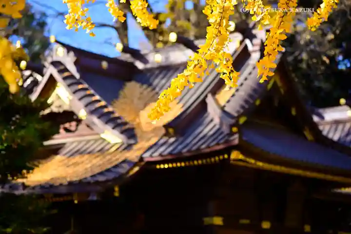 玉敷神社(埼玉県)