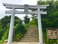 彌彦神社奥宮(御神廟)の鳥居