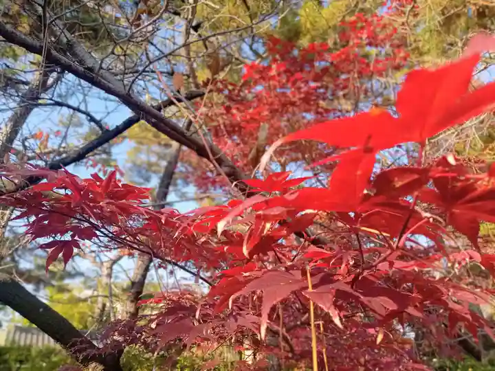 阿部野神社(大阪府)