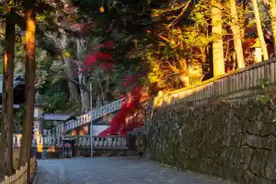 諏訪大社下社秋宮(長野県)