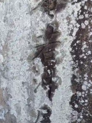 石峯寺(京都府)