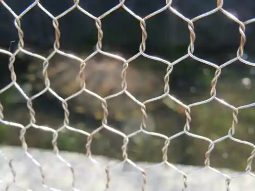 駒形神社の動物