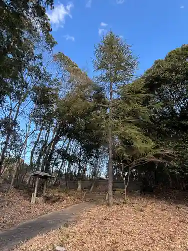 天満神社(兵庫県)