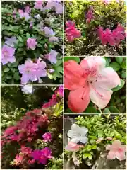 検見川神社の自然