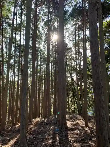 三峰神社の自然