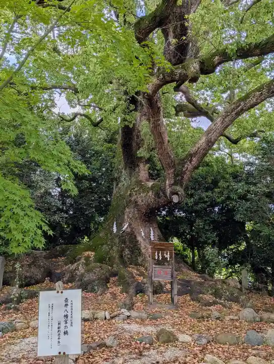 壺井八幡宮(大阪府)