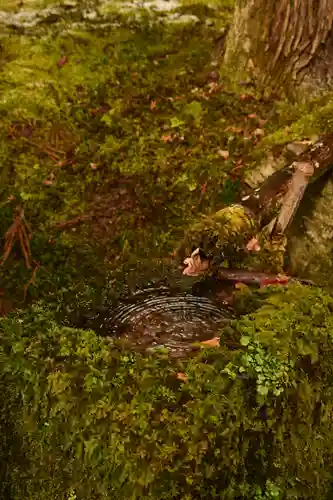 寂光院(京都府)