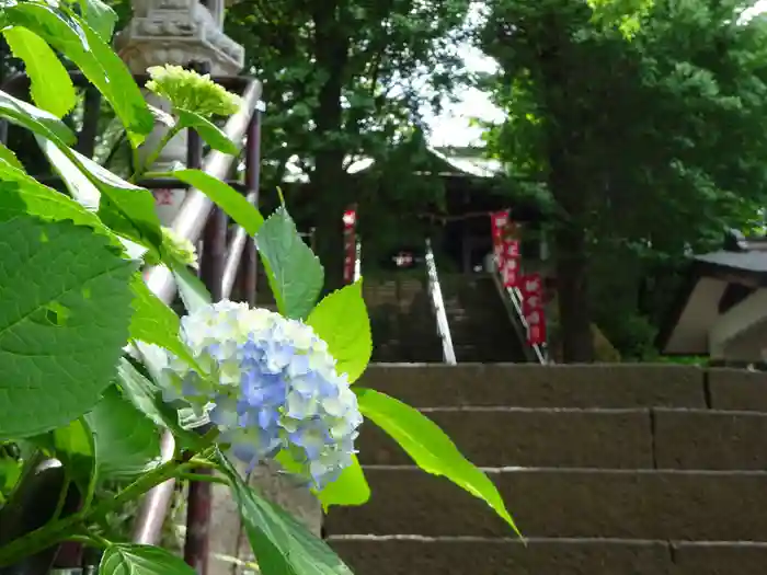 弥生神社の本殿