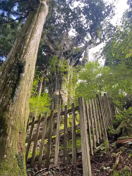 玉置神社(奈良県)