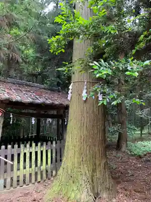 諏訪神社のその他建物
