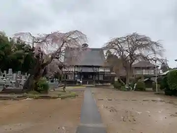 常福寺(千葉県)