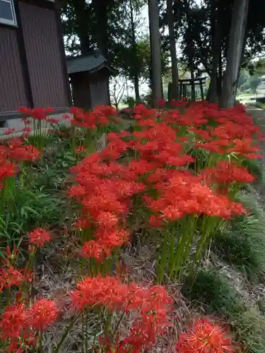 駒形神社の自然