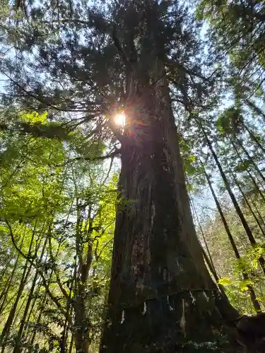 花園神社(茨城県)