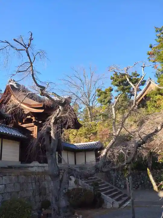 光明寺(粟生光明寺)(京都府)