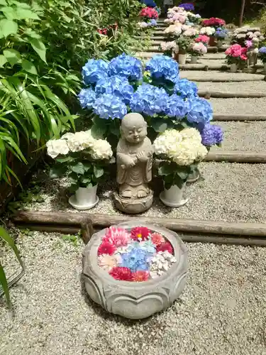 岡寺（龍蓋寺）(奈良県)