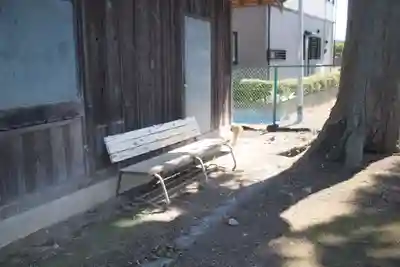 諏訪神社(埼玉県)