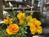 坪沼八幡神社(宮城県)