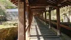 長谷寺の本殿