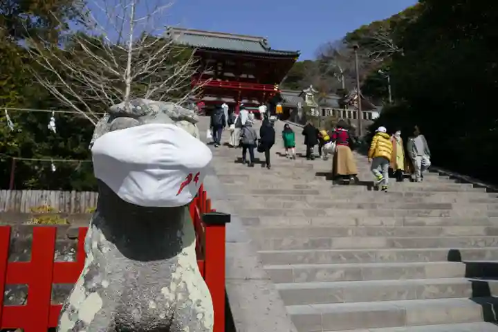 鶴岡八幡宮の狛犬