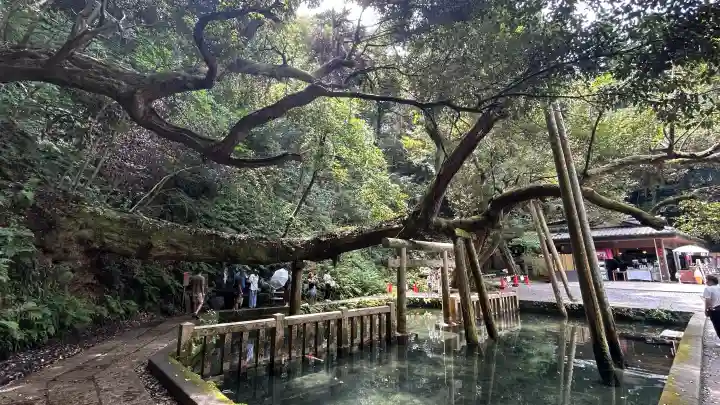 鹿島神宮(茨城県)
